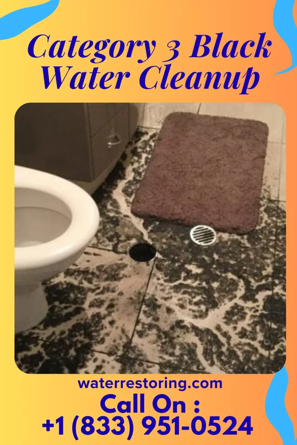 Category 3 Black Water Cleanup in Minerva Park, OH