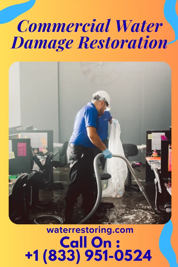 Commercial Water Damage Restoration in Minerva Park, OH