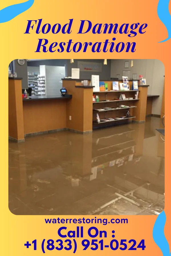 Flood Damage Restoration in Minerva Park, OH